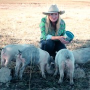 Cilla and the hungry pigs